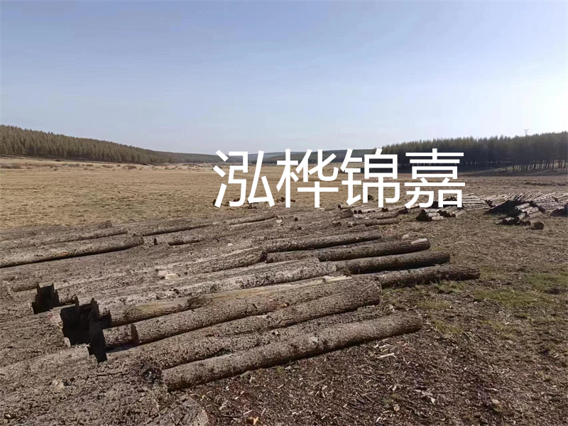 木樁批發(fā)，打造穩(wěn)固基石